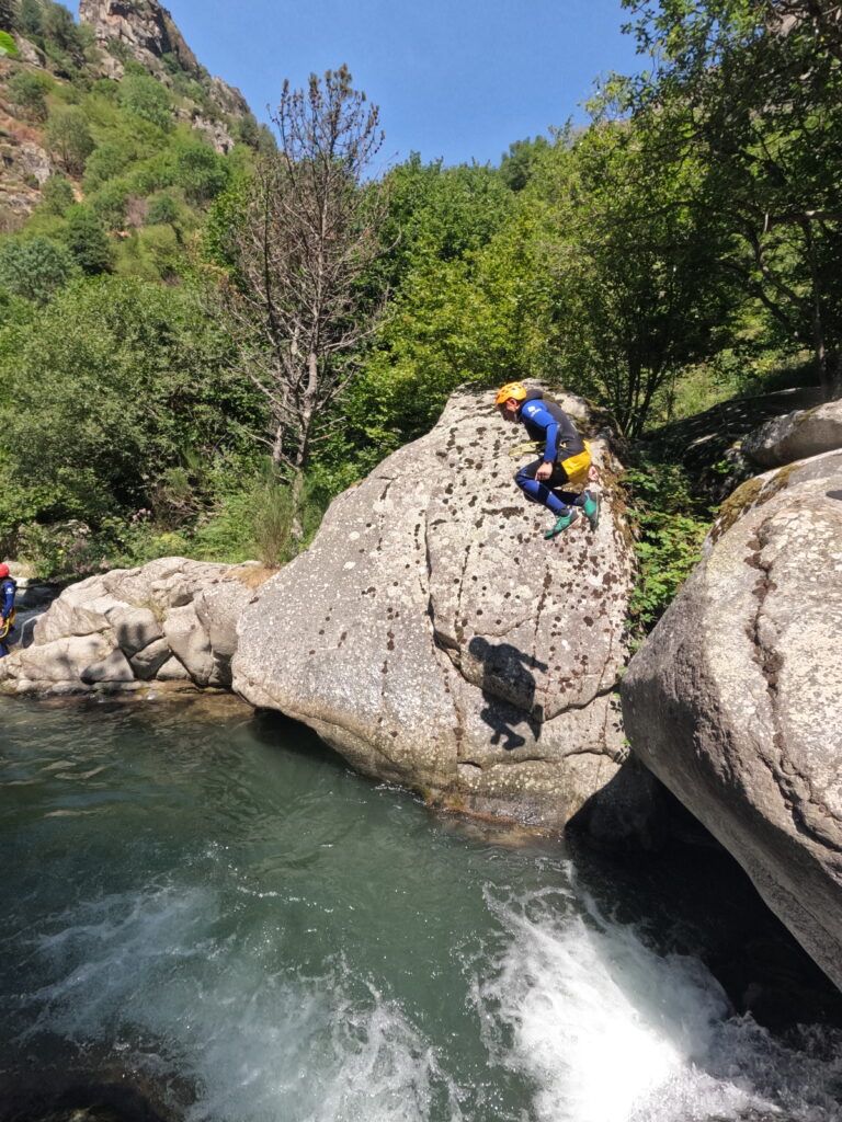 salto freser inferior